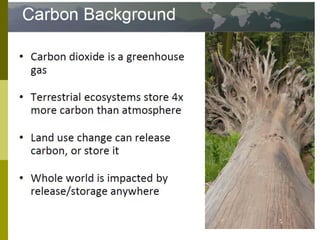 Long-term monitoring of rangelands: Impacts of fire, tree cutting and livestock grazing on carbon sequestration in West Africa
