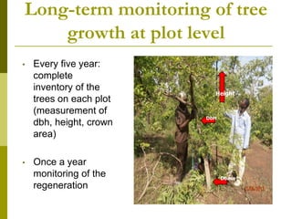 Long-term monitoring of rangelands: Impacts of fire, tree cutting and livestock grazing on carbon sequestration in West Africa