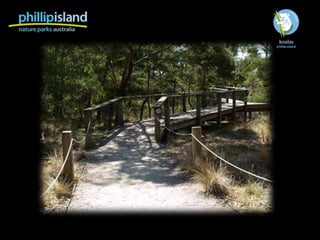 Koala Conservation Centre Disability access