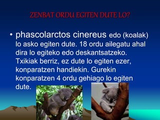 ZENBAT ORDU EGITEN DUTE LO?
• phascolarctos cinereus edo (koalak)
lo asko egiten dute. 18 ordu ailegatu ahal
dira lo egiteko edo deskantsatzeko.
Txikiak berriz, ez dute lo egiten ezer,
konparatzen handiekin. Gurekin
konparatzen 4 ordu gehiago lo egiten
dute.
 