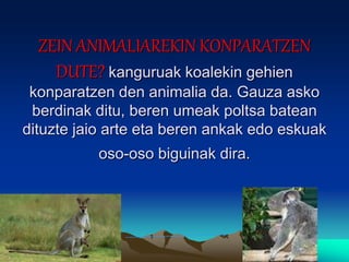 ZEIN ANIMALIAREKIN KONPARATZEN
DUTE? kanguruak koalekin gehien
konparatzen den animalia da. Gauza asko
berdinak ditu, beren umeak poltsa batean
dituzte jaio arte eta beren ankak edo eskuak
oso-oso biguinak dira.
 