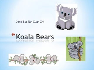 Done By: Tan XuanZhi Koala Bears 