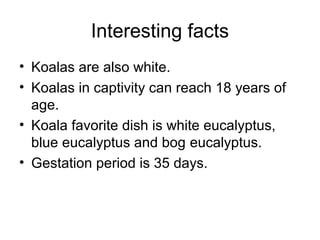 Interesting facts
• Koalas are also white.
• Koalas in captivity can reach 18 years of
age.
• Koala favorite dish is white eucalyptus,
blue eucalyptus and bog eucalyptus.
• Gestation period is 35 days.

 