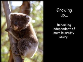 Growing
    up...

   Becoming
independent of
 mum is pretty
    scary!
 