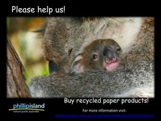 Please help us!




                 Buy recycled paper products!
                          For more information visit:
            www.penguins.org.au/conservation/education/kidsactivities
 