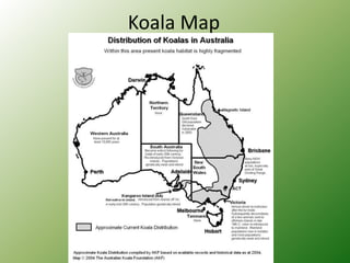 Koala Map
 