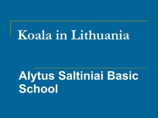 Koala in Lithuania Alytus Saltiniai Basic School 