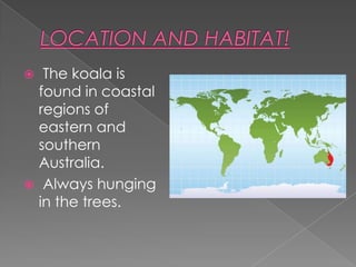   The koala is
  found in coastal
  regions of
  eastern and
  southern
  Australia.
 Always hunging
  in the trees.
 