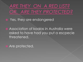    Yes, they are endangered

   Association of koalas in Australia were
    asked to have had you put a escpecie
    threatened.

   Are protected.
 