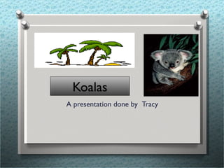 Koalas A presentation done by   Tracy 