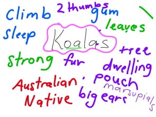 Koalas Fave Term 2 Week 1