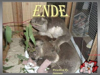 ENDE Presented by: Suzanne 