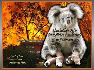 Arme Koalas Unschuldige Opfer der tödlichen Buschbrände in Australien „ Cool  Clear  Water“ von Marty Robbins 