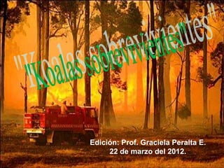 Edición: Prof. Graciela Peralta E.
     22 de marzo del 2012.
 
