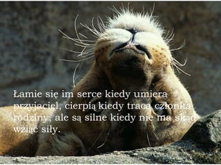 Łamie się im serce kiedy umiera przyjaciel, cierpi ą  kiedy tracą członka rodziny, ale s ą  silne kiedy nie ma sk ą d wzi ą ć siły. 
