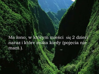 M a łono, w którym mie ś ci  się  2 dzieci naraz  i  które znika kiedy   (pojęcia nie mam ) . 