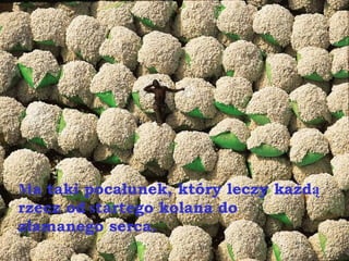 M a taki pocałunek, który leczy każd ą  rzecz od  s tartego   kolana do złamanego serca. 