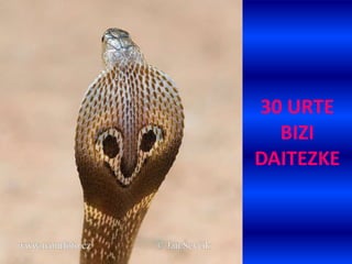 30 URTE
BIZI
DAITEZKE
 