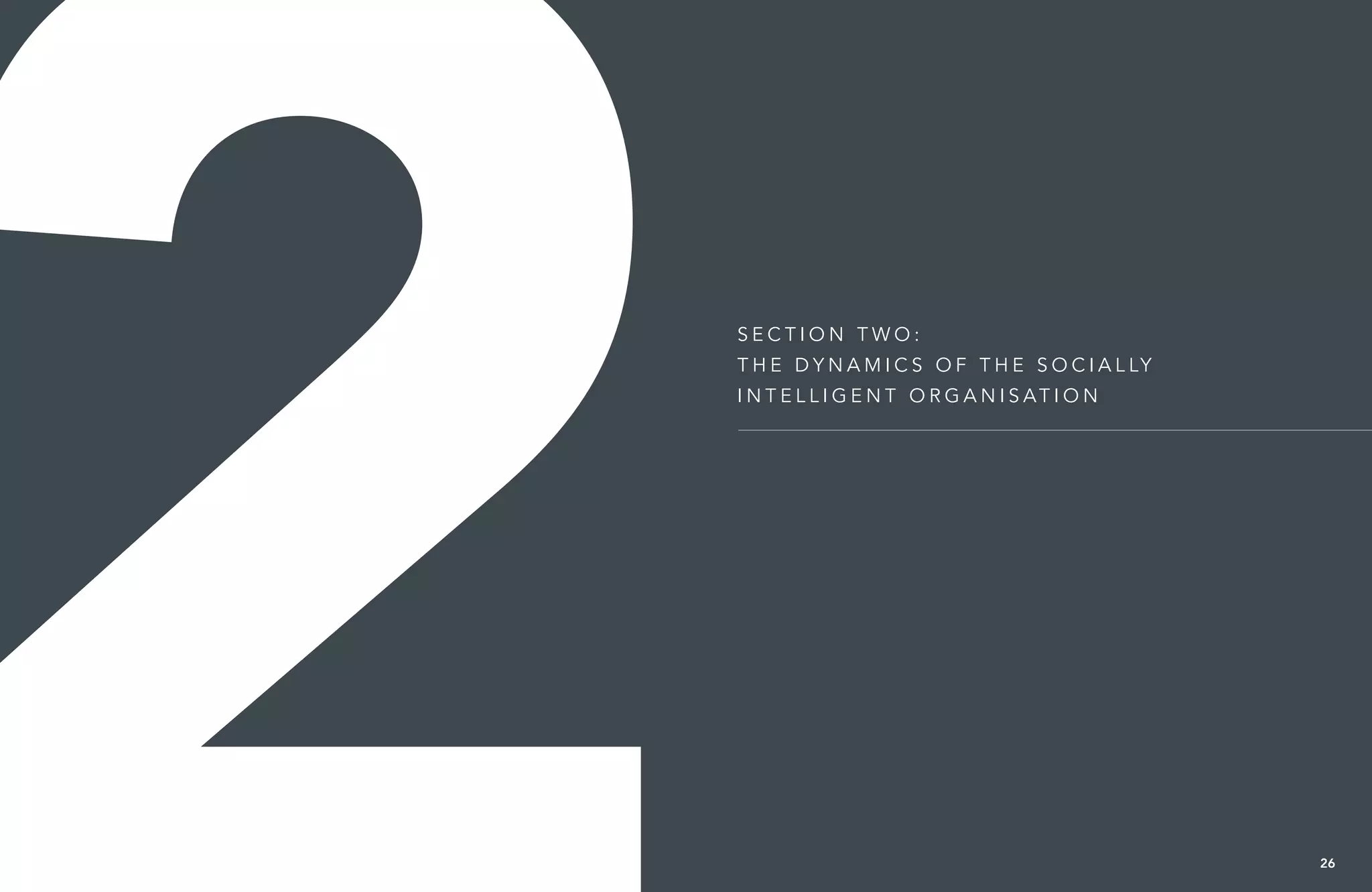 Se c t i o n t wo :
T h e D y n am i c s o f t h e So c i a l ly
I n t e l l i g e n t O r g a n i s at i o n
26
 