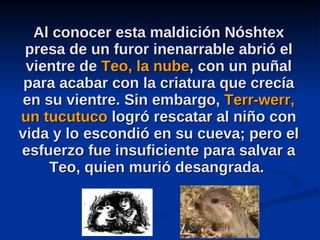 Al conocer esta maldición Nóshtex presa de un furor inenarrable abrió el vientre de  Teo, la nube , con un puñal para acabar con la criatura que crecía en su vientre. Sin embargo,  Terr-werr, un tucutuco  logró rescatar al niño con vida y lo escondió en su cueva; pero el esfuerzo fue insuficiente para salvar a Teo, quien murió desangrada.  