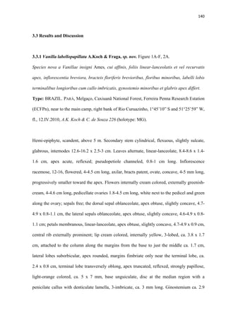 140 
 
3.3 Results and Discussion
3.3.1 Vanilla labellopapillata A.Koch & Fraga, sp. nov. Figure 1A-F, 2A.
Species nova a Vanillae insigni Ames, cui affinis, foliis linear-lanceolatis et vel recurvatis
apex, inflorescentia breviora, bracteis floriferis brevioribus, floribus minoribus, labelli lobis
terminalibus longioribus cum callo imbricatis, gynostemio minoribus et glabris apex differt.
Type: BRAZIL. PARÁ, Melgaço, Caxiuanã National Forest, Ferreira Penna Research Estation
(ECFPn), near to the main camp, right bank of Rio Curuazinho, 1°45’10” S and 51°25’59” W,
fl., 12.IV.2010, A.K. Koch & C. de Souza 226 (holotype: MG).
Hemi-epiphyte, scandent, above 5 m. Secondary stem cylindrical, flexuous, slightly sulcate,
glabrous, internodes 12.6-16.2 x 2.5-3 cm. Leaves alternate, linear-lanceolate, 8.4-8.6 x 1.4-
1.6 cm, apex acute, reflexed; pseudopetiole channeled, 0.8-1 cm long. Inflorescence
racemose, 12-16, flowered, 4-4.5 cm long, axilar, bracts patent, ovate, concave, 4-5 mm long,
progressively smaller toward the apex. Flowers internally cream colored, externally greenish-
cream, 4-4.6 cm long, pedicellate ovaries 1.8-4.5 cm long, white next to the pedicel and green
along the ovary; sepals free; the dorsal sepal oblanceolate, apex obtuse, slightly concave, 4.7-
4.9 x 0.8-1.1 cm, the lateral sepals oblanceolate, apex obtuse, slightly concave, 4.6-4.9 x 0.8-
1.1 cm; petals membranous, linear-lanceolate, apex obtuse, slightly concave, 4.7-4.9 x 0.9 cm,
central rib externally prominent; lip cream colored, internally yellow, 3-lobed, ca. 3.8 x 1.7
cm, attached to the column along the margins from the base to just the middle ca. 1.7 cm,
lateral lobes suborbicular, apex rounded, margins fimbriate only near the terminal lobe, ca.
2.4 x 0.8 cm, terminal lobe transversely oblong, apex truncated, reflexed, strongly papillose,
light-orange colored, ca. 5 x 7 mm, base unguiculate, disc at the median region with a
penicilate callus with denticulate lamella, 3-imbricate, ca. 3 mm long. Ginostemium ca. 2.9
 