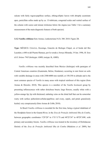 142 
 
sulcate with fairly rugose-papillose surface, oblong-elliptic leaves with abruptly acuminate
apex, penicillate callus made up by ca. 13-imbricate, congested scales and ventral surface of
the column with scarce and minute trichomes below the stigma (see Table 1 for a summary
measurement of the main diagnostic features of both species).
3.3.2 Vanilla cribbiana Soto Arenas, Lankesteriana 9 (3): 300. 2010. Figure 2B.
Type: MÉXICO. CHIAPAS, Ocosingo, Estación de Biologia Chajul, en el borde del Río
Lacatúm; a 680 m del Puente Hamaca, por la vereda a Arroyo Miranda, 19 Jun. 1996, M. Soto
& R. Solano 7945 (holotype: AMO; isotype: K, AMO).
Vanilla cribbiana was recently described from Mexico (holotype) with paratypes of
Central American countries (Guatemala, Belize, Honduras), occurring in rain forest on soils
with variable drainage in areas with 2500-4000 mm rainfall, at 150-350 m altitude and is the
most common species of Vanilla in many areas with tropical rainforest of this region (Soto
Arenas & Dressler, 2010). This species is a member of the Vanilla hostmanii group by
presenting inflorescences with rather distichous bracts; large flowers, usually white with a
yellow-orange lip; lip with thickened, radiating veins on the distal half that can be somewhat
warty with surface puberulent-cellular-papillose; and ovary, sepals, and petals granulosely
keeled, very conspicuously (Soto Arenas & Cribb, 2010).
In Brazil Vanilla cribbiana is recorded for the first time, being a typical inhabitant of
the floodplain forest in the Guamá River, in the Área de Proteção Ambiental Ilha do Combu,
between geographic coordinates 1º29’20” to 1º31’11”S and 48º25’54” to 48º29’34W, with
primary and secondary forests. Vanilla cribbiana was treated in the inventory of Orchidaceae
floristic of the Área de Proteção Ambiental Ilha do Combu (Medeiros et al. 2009), but
 