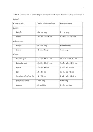 147 
 
Table 1. Comparison of morphological characteristics between Vanilla labellopapillata and V.
insignis.
Characteristics Vanilla labellopapillata Vanilla insignis
Leaves
Petiole 0.8-1 cm long 1.1 cm long
Blade 8.4-8.6 x 1.4-1.6 cm 4.2-19.5 x 1.5-3.4 cm
Inflorescence
Length 4-4.5 cm long 4.4-11 cm long
Bracts 4-5 x mm long 9 mm long
Flower
Dorsal sepal 4.7-4.9 x 0.8-1.1 cm 6.9-7.65 x 1.05-1.4 cm
Lateral sepals 4.6-4.9 x 0.8-1.1 cm 6.4-7.4 x 1.25-1.35 cm
Petals 4.7-4.9 x 0.9 cm 6.8-7.4 x 0.9-1 cm
Lip 3.8 x 1.7 cm 6.5-7.3 x 3-3.5 cm
Terminal lobe of the lip 2.4 x 0.8 cm 1.1-1.5 x 1.25-1.4 cm
penicillate callus 3 mm long 4 mm long
Column 2.9 cm high 4.9-5.2 cm high
 