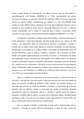 17 
 
sendo a maior família de Angiospermas. No Brasil ocorrem cerca de 234 gêneros e
aproximadamente 2.424 espécies (BARROS et al., 2010), encontrando-se um número
expressivo de espécies na Amazônia (SOUZA & LORENZI, 2008). Por possuir um grande
número de espécies epífitas, principamente nos Trópicos, é a mais diversificada dentre
aquelas de mesmo hábito, sucesso conseguido através de várias adaptações especiais, como a
presença de uma camada de células mortas e altamente absorvente nas raízes, o chamado
velame; pseudobulbos com a função de armazenar água e reduzir a dessecação; folhas
carnosas em muitas espécies, além de outras estruturas adaptativas (RIBEIRO et al., 1999).
Contrapondo a importância ecológica destas duas famílias, o potencial ornamental de
ambas atualmente é muito bem explorado, havendo grande procura por espécies de fácil
cultivo e que apresentem flores ou inflorescências duráveis e exuberantes. Contudo, é
evidente que em muitos locais, essas espécies se encontram ameaçadas e/ou desconhecidas,
ficando clara a necessidade de se conhecer melhor a diversidade em determinadas áreas. Na
floresta Amazônica, o que se conhece a respeito é incipiente. Até o momento, no Brasil,
devido à sua grande representatividade em invetários florísticos, as Orchidaceae são muito
mais exploradas do que as Bromeliaceae. Mas segundo Silva (2008), devido a sua aparência
exclusiva, as bromélias tornaram-se populares como plantas ornamentais a partir da década de
90, e grande parte do conhecimento e descrições de novos táxons provêm de colecionadores,
sendo a bibliografia restrita. Atualmente os trabalhos mais completos sobre as Bromeliaceae
brasileiras são os de Martinelli et al. (2009) no livro Plantas da Mata Atlântica e o de Forzza
et al. (2010), na Lista de Espécies da Flora do Brasil.
Dentre as unidades de conservação da Amazônia brasileira, a Floresta Nacional de
Caxiuanã é uma das mais bem preservadas e concentra uma das mais ricas diversidades de
plantas da Amazônia (LISBOA & FERRAZ, 1999). Trabalhos de invetários florísticos ali
realizados são escassos, se forem considerados o tamanho e a diversidade de ambientes
formados pela sua cobertura vegetal. A maior parte dos estudos já realizados contempla
principalmente parte do componente arbóreo e confirma a grande riqueza de espécies.
Entretanto, trabalhos sobre as epífitas vasculares nesse componente arbóreo são praticamente
inexistentes, tendo, de acordo com um relatório técnico apresentado por Lisboa (1996), um
prévio conhecimento sobre as Orchidaceae e as Samambaias.
Para se conhecer e entender a composição da flora local é intrinsicamente viável a
realização e utilização de estudos florísticos-taxonômicos. A partir do nome correto das
 