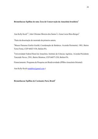 23 
 
Bromeliaceae Epífitas de uma Área de Conservação da Amazônia brasileira1
Ana Kelly Koch2,3
, João Ubiratan Moreira dos Santos3
e Anna Luiza Ilkiu-Borges2
1
Parte da dissertação de mestrado da primeira autora.
2
Museu Paraense Emilio Goeldi, Coordenação de Botânica. Avenida Perimetral, 1901, Bairro
Terra Firme, CEP 66027-530, Belém-PA.
3
Universidade Federal Rural da Amazônia. Instituto de Ciências Agrárias. Avenida Presidente
Tancredo Neves, 2501, Bairro Montese, CEP 66077-530, Belém-PA.
Financiamento: Programa de Pesquisa em Biodiversidade (PPBio-Amazônia Oriental)
Ana Kelly Koch (anakbio@gmail.com )
Bromeliaceae Epífitas de Caxiuanã, Pará, Brasil1
 
