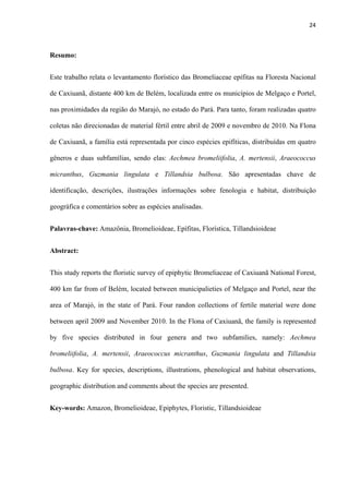 24 
 
Resumo:
Este trabalho relata o levantamento florístico das Bromeliaceae epífitas na Floresta Nacional
de Caxiuanã, distante 400 km de Belém, localizada entre os municípios de Melgaço e Portel,
nas proximidades da região do Marajó, no estado do Pará. Para tanto, foram realizadas quatro
coletas não direcionadas de material fértil entre abril de 2009 e novembro de 2010. Na Flona
de Caxiuanã, a família está representada por cinco espécies epifíticas, distribuídas em quatro
gêneros e duas subfamílias, sendo elas: Aechmea bromeliifolia, A. mertensii, Araeococcus
micranthus, Guzmania lingulata e Tillandsia bulbosa. São apresentadas chave de
identificação, descrições, ilustrações informações sobre fenologia e habitat, distribuição
geográfica e comentários sobre as espécies analisadas.
Palavras-chave: Amazônia, Bromelioideae, Epífitas, Florística, Tillandsioideae
Abstract:
This study reports the floristic survey of epiphytic Bromeliaceae of Caxiuanã National Forest,
400 km far from of Belém, located between municipalieties of Melgaço and Portel, near the
area of Marajó, in the state of Pará. Four randon collections of fertile material were done
between april 2009 and November 2010. In the Flona of Caxiuanã, the family is represented
by five species distributed in four genera and two subfamilies, namely: Aechmea
bromeliifolia, A. mertensii, Araeococcus micranthus, Guzmania lingulata and Tillandsia
bulbosa. Key for species, descriptions, illustrations, phenological and habitat observations,
geographic distribution and comments about the species are presented.
Key-words: Amazon, Bromelioideae, Epiphytes, Floristic, Tillandsioideae
 