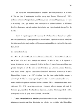 27 
 
Em relação aos estudos realizados na Amazônia brasileira destacam-se os de Dubs
(1998), que citou 47 espécies de bromélias para o Mato Grosso, Ribeiro et al. (1999),
realizado na Reserva Adolpho Ducke, em Manaus, o qual constatou 13 espécies, e o de Souza
& Wanderley (2007), que trataram sobre uma espécie de Aechmea endêmica da Amazônia
brasileira. Entretanto, a grande maioria dos trabalhos não é direcionada à flora epifítica da
família.
Diante do exposto e percebendo a escassez de trabalhos sobre as Bromeliaceae epífitas
na Amazônia brasileira e, principalmente no estado do Pará, objetivou-se realizar um estudo
florístico-taxonômico das bromélias epifíticas encontradas na Floresta Nacional de Caxiuanã,
Pará, Brasil.
2.2 Material e métodos
2.2.1 Área de estudo: a Floresta Nacional de Caxiuanã localiza-se distante 400 km de Belém
(01º42’30”S e 51º31’45”W) e abrange uma área de 323.717,7 ha (Fig. 1). A vegetação é
densa, fechada, com árvores em torno de 30-40 m de altura. O relevo é plano a ondulado, sem
grandes elevações. O solo das áreas de terra firme é do tipo Latossolo Amarelo Distrófico,
com textura média a argilosa e os terrenos inundáveis apresentam a associação de solos
hidromórficos (Lisboa et al. 1997). O clima é do tipo Ami tropical úmido, segundo a
classificação de Köppen, com precipitação pluviométrica mais intensa de dezembro a maio e
menos intensa de agosto a novembro (Costa & Moraes 2002). A temperatura média anual
varia entre 26º e 27°C e a drenagem principal é composta pelo rio Anapu e pela bacia de
Caxiuanã que, segundo a classificação das águas da Amazônia elaborada por Sioli (1984),
corresponde aos rios de águas pretas (Lisboa & Ferraz 1999).
2.2.2 Coleta e herborização do material: primeiramente foi realizado um levantamento das
espécies provenientes da Flona depositadas nas coleções dos herbários João Murça Pires
 