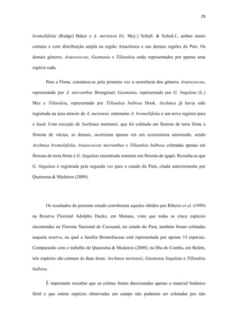 29 
 
bromellifolia (Rudge) Baker e A. mertensii (G. Mey.) Schult. & Schult.f., ambas muito
comuns e com distribuição ampla na região Amazônica e nas demais regiões do País. Os
demais gêneros, Araeococcus, Guzmania e Tillandsia estão representados por apenas uma
espécie cada.
Para a Flona, constatou-se pela primeira vez a ocorrência dos gêneros Araeococcus,
representado por A. micranthus Brongniart; Guzmania, representado por G. lingulata (L.)
Mez e Tillandsia, representado por Tillandsia bulbosa Hook. Aechmea já havia sido
registrada na área através de A. mertensii, entretanto A. bromeliifolia é um novo registro para
o local. Com exceção de Aechmea mertensii, que foi coletada em floresta de terra firme e
floresta de várzea, as demais, ocorreram apenas em um ecossistema amostrado, sendo
Aechmea bromeliifolia, Araeococcus micranthus e Tillandsia bulbosa coletadas apenas em
floresta de terra firme e G. lingulata encontrada somente em floresta de igapó. Ressalta-se que
G. lingulata é registrada pela segunda vez para o estado do Pará, citada anteriormente por
Quaresma & Medeiros (2009).
Os resultados do presente estudo corroboram aqueles obtidos por Ribeiro et al. (1999)
na Reserva Florestal Adolpho Ducke, em Manaus, visto que todas as cinco espécies
encontradas na Floresta Nacional de Caxiuanã, no estado do Pará, também foram coletadas
naquela reserva, na qual a família Bromeliaceae está representada por apenas 13 espécies.
Comparando com o trabalho de Quaresma & Medeiros (2009), na Ilha do Combu, em Belém,
três espécies são comuns às duas áreas: Aechmea mertensii, Guzmania lingulata e Tillandsia
bulbosa.
É importante ressaltar que as coletas foram direcionadas apenas a material botânico
fértil e que outras espécies observadas em campo não puderam ser coletadas por não
 
