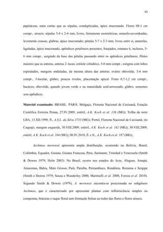 33 
 
papiráceas, mais curtas que as sépalas, conduplicadas, ápice mucronado. Flores 08-1 cm
compr., sésseis; sépalas 3-4 x 2-4 mm, livres, fortemente assimétricas, amarelo-esverdeadas,
levemente crassas, glabras, ápice mucronado; pétalas 5-7 x 2-3 mm, livres entre si, amarelas,
liguladas, ápice mucronado, apêndices petalíneos presentes, franjados; estames 6, inclusos, 5-
6 mm compr., surgindo da base das pétalas passando entre os apêndices petalíneos, filetes
maiores que as anteras, anteras 2–tecas; estilete cilíndrico, 5-6 mm compr.; estigma com lobos
espiralados, margens onduladas, da mesma altura das anteras; ovário obovóide, 3-4 mm
compr., 3-locular, glabro, poucos óvulos, placentação apical. Fruto 0,7-1,2 cm compr.,
bacáceo, obovóide, quando jovem verde e na maturidade azul-arroxeado, glabro, sementes
sem apêndices.
Material examinado: BRASIL. PARÁ: Melgaço, Floresta Nacional de Caxiuanã, Estação
Científica Ferreira Penna, 27.IV.2009, estéril, A.K. Koch et al. 136 (MG); Trilha da torre
LBA, 13.XII.1999, fl., A.S.L. da Silva 3733 (MG); Portel, Floresta Nacional de Caxiuanã, rio
Caquajó, margem esquerda, 30.VIII.2009, estéril, A.K. Koch et al. 162 (MG); 30.VIII.2009,
estéril, A.K. Koch et al. 164 (MG); 08.IV.2010, fl. e fr., A.K. Koch et al. 187 (MG);
Aechmea mertensii apresenta ampla distribuição, ocorrendo na Bolívia, Brasil,
Colômbia, Equador, Guiana, Guiana Francesa, Peru, Suriname, Trinidad e Venezuela (Smith
& Downs 1979; Holst 2003). No Brasil, ocorre nos estados do Acre, Alagoas, Amapá,
Amazonas, Bahia, Mato Grosso, Pará, Paraíba, Pernambuco, Rondônia, Roraima e Sergipe
(Smith e Downs 1979; Sousa e Wanderley 2000; Martinelli et al. 2008; Forzza et al. 2010).
Segundo Smith & Downs (1979), A. mertensii encontra-se posicionada no subgênero
Aechmea, que é caracterizado por apresentar plantas com inflorescência simples ou
compostas, brácteas e raque floral sem formação bolsas ao redor das flores e flores sésseis.
 