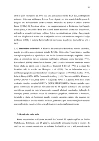 56 
 
abril de 2009 e novembro de 2010, cada uma com duração média de 20 dias, contemplando
ambientes diferentes: a) florestas de terra firme e igapó – no sítio amostral do Programa de
Pesquisa em Biodiversidade (PPBio-Amazônia Oriental) e na Estação Científica Ferreira
Penna (ECFPn); b) floresta de várzea – nas margens (esquerda e direita) dos rios Caquajó,
Curuá-grande, Curuazinho e Baía de Caxiuanã. Foram realizadas coletas não direcionadas,
coletando-se somente indivíduos epifíticos férteis. A metodologia de coleta e herborização
utilizada foi aplicada de acordo com as exigências de cada local amostrado e segundo Fidalgo
& Bononi (1984). O material herborizado foi incorporado às coleções dos herbários MG e
IAN.
3.2.3 Tratamento taxônomico: A descrição das espécies foi baseada no material coletado e,
quando necessário, em exsicatas da coleção do MG e bibliografia. Foram feitas as medidas
dos órgãos vegetativos e reprodutivos, com áuxílio de estereomicroscópio acoplado a câmara
clara. A terminologia para as estruturas morfológicas utilizadas seguiu Lawrence (1973),
Radford et al., (1974), e Gonçalves & Lorenzi (2007). As abreviaturas dos nomes dos autores
foram citadas de acordo com o proposto por Brummitt & Powell (1992) e as siglas dos
herbários estão de acordo com Holmgren et al. (1990). Para as informações sobre a
distribuição geográfica dos táxons foram consultados Cogniaux (1898-1902), Hoehne (1949),
Pabst & Dungs (1975 e 1977), Dunsterville & Garay (1959), Werkhoven (1986), Silva et al.
(1995), Carnevali et al. (2003), Barros et al. (2009) e Barros et al. (2010). Além disso, foram
realizadas consultas nos sites MOBOT e INDEX HERBARIORUM. São apresentadas chave
para a identificação das espécies. Para cada uma das 33 espécies elaborou-se uma descrição
morfológica, seguida de material examinado, material adicional examinado e indicação de
ilustração quando utilizados, dados de distribuição geográfica, comentários e ilustração,
incluindo a citação do basiônimo quando existente. Algumas espécies não puderam ser
ilustradas devido ao escasso material analisado, para tanto, após a descriminação do material
examinado destas espécies, indica-se a referência com as ilustrações das mesmas.
3.3 Resultados e discussão
Foram encontaradas na Floresta Nacional de Caxiuanã 33 espécies epífitas da família
Orchidaceae, distribuídas em 24 gêneros, aumentando consideravelmente o número de
espécies anteriormente encontradas nas coleções dos herbários IAN e MG provenientes do
 