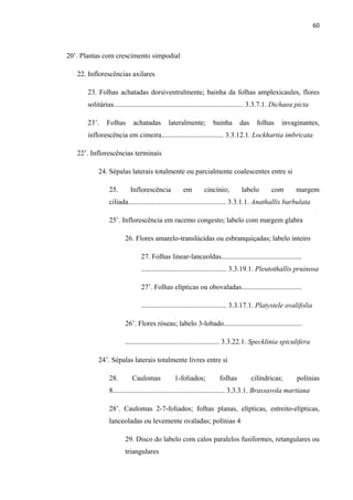 60 
 
20’. Plantas com crescimento simpodial
22. Inflorescências axilares
23. Folhas achatadas dorsiventralmente; bainha da folhas amplexicaules, flores
solitárias......................................................................... 3.3.7.1. Dichaea picta
23’. Folhas achatadas lateralmente; bainha das folhas invaginantes,
inflorescência em cimeira................................... 3.3.12.1. Lockhartia imbricata
22’. Inflorescências terminais
24. Sépalas laterais totalmente ou parcialmente coalescentes entre si
25. Inflorescência em cincínio; labelo com margem
ciliada....................................................... 3.3.1.1. Anathallis barbulata
25’. Inflorescência em racemo congesto; labelo com margem glabra
26. Flores amarelo-translúcidas ou esbranquiçadas; labelo inteiro
27. Folhas linear-lanceoldas.............................................
................................................ 3.3.19.1. Pleutothallis pruinosa
27’. Folhas elípticas ou obovaladas..................................
................................................ 3.3.17.1. Platystele ovalifolia
26’. Flores róseas; labelo 3-lobado............................................
..................................................... 3.3.22.1. Specklinia spiculifera
24’. Sépalas laterais totalmente livres entre si
28. Caulomas 1-foliados; folhas cilíndricas; polínias
8............................................................... 3.3.3.1. Brassavola martiana
28’. Caulomas 2-7-foliados; folhas planas, elípticas, estreito-elípticas,
lanceoladas ou levemente ovaladas; polínias 4
29. Disco do labelo com calos paralelos fusiformes, retangulares ou
triangulares
 