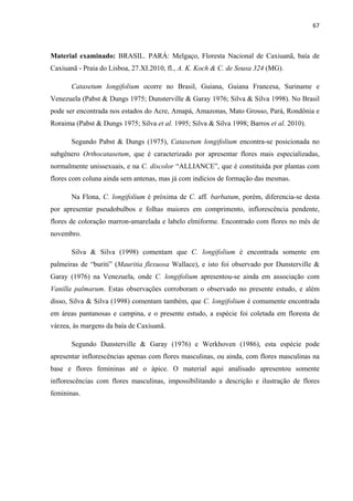 67 
 
Material examinado: BRASIL. PARÁ: Melgaço, Floresta Nacional de Caxiuanã, baía de
Caxiuanã - Praia do Lisboa, 27.XI.2010, fl., A. K. Koch & C. de Sousa 324 (MG).
Catasetum longifolium ocorre no Brasil, Guiana, Guiana Francesa, Suriname e
Venezuela (Pabst & Dungs 1975; Dunsterville & Garay 1976; Silva & Silva 1998). No Brasil
pode ser encontrada nos estados do Acre, Amapá, Amazonas, Mato Grosso, Pará, Rondônia e
Roraima (Pabst & Dungs 1975; Silva et al. 1995; Silva & Silva 1998; Barros et al. 2010).
Segundo Pabst & Dungs (1975), Catasetum longifolium encontra-se posicionada no
subgênero Orthocatasetum, que é caracterizado por apresentar flores mais especializadas,
normalmente unissexuais, e na C. discolor “ALLIANCE”, que é constituída por plantas com
flores com coluna ainda sem antenas, mas já com indícios de formação das mesmas.
Na Flona, C. longifolium é próxima de C. aff. barbatum, porém, diferencia-se desta
por apresentar pseudobulbos e folhas maiores em comprimento, inflorescência pendente,
flores de coloração marron-amarelada e labelo elmiforme. Encontrado com flores no mês de
novembro.
Silva & Silva (1998) comentam que C. longifolium é encontrada somente em
palmeiras de “buriti” (Mauritia flexuosa Wallace), e isto foi observado por Dunsterville &
Garay (1976) na Venezuela, onde C. longifolium apresentou-se ainda em associação com
Vanilla palmarum. Estas observações corroboram o observado no presente estudo, e além
disso, Silva & Silva (1998) comentam também, que C. longifolium é comumente encontrada
em áreas pantanosas e campina, e o presente estudo, a espécie foi coletada em floresta de
várzea, às margens da baía de Caxiuanã.
Segundo Dunsterville & Garay (1976) e Werkhoven (1986), esta espécie pode
apresentar inflorescências apenas com flores masculinas, ou ainda, com flores masculinas na
base e flores femininas até o ápice. O material aqui analisado apresentou somente
inflorescências com flores masculinas, impossibilitando a descrição e ilustração de flores
femininas.
 