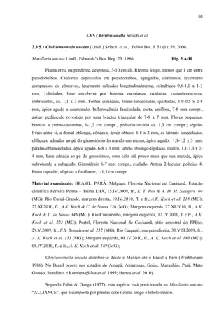 68 
 
3.3.5 Christensonella Szlach et al.
3.3.5.1 Christensonella uncata (Lindl.) Szlach. et al., Polish Bot. J. 51 (1): 59. 2006.
Maxillaria uncata Lindl., Edwards’s Bot. Reg. 23. 1986. Fig. 5 A-H
Planta ereta ou pendente, cespitosa, 3-10 cm alt. Rizoma longo, menos que 1 cm entre
pseudobulbos. Caulomas espessados em pseudobulbos, agregados, diminutos, levemente
compressos ou côncavos, levemente sulcados longitudinalmente, cilíndricos 0,6-1,0 x 1-3
mm, 1-foliados, base encoberta por bainhas escariosas, ovaladas, castanho-escuras,
imbricantes, ca. 1,1 x 3 mm. Folhas coriáceas, linear-lanceoladas, quilhadas, 1,9-0,5 x 2-8
mm, ápice agudo a acuminado. Inflorescência fasciculada, curta, uniflora, 7-8 mm compr.,
axilar, pedúnculo revestido por uma bráctea triangular de 7-8 x 7 mm. Flores pequenas,
brancas a creme-castanhas, 1-1,2 cm compr., pedicelo+ovário ca. 1,3 cm compr.; sépalas
livres entre si, a dorsal oblonga, côncava, ápice obtuso, 6-8 x 2 mm, as laterais lanceoladas,
oblíquas, adnadas ao pé do gisnostêmio formando um mento, ápice agudo, 1,1-1,2 x 3 mm;
pétalas oblanceoladas, ápice agudo, 6-8 x 3 mm; labelo oblongo-ligulado, inteiro, 1,1-1,3 x 2-
4 mm, base adnada ao pé do ginostêmio, com calo até pouco mais que sua metade, ápice
subrotundo a subagudo. Ginostêmio 6-7 mm compr., exalado. Antera 2-locular, polínias 4.
Fruto capsular, elíptico a fusiforme, 1-1,5 cm compr.
Material examinado: BRASIL. PARÁ: Melgaço, Floresta Nacional de Caxiuanã, Estação
científica Ferreira Penna – Trilha LBA, 15.IV.2009, fr., E. T. Pos & A. D. M. Sleegers 04
(MG); Rio Curuá-Grande, margem direita, 10.IV.2010, fl. e fr., A.K. Koch et al. 218 (MG);
27.XI.2010, fl., A.K. Koch & C. de Sousa 326 (MG); Margem esquerda, 27.XI.2010, fl., A.K.
Koch & C. de Sousa 346 (MG); Rio Curuazinho, margem esquerda, 12.IV.2010, fl.e fr., A.K.
Koch et al. 225 (MG); Portel, Floresta Nacional de Caxiuanã, sítio amostral do PPBio,
29.V.2009, fr., F.S. Bonadeu et al. 252 (MG); Rio Caquajó, margem direita, 30.VIII.2009, fr.,
A. K. Koch et al. 153 (MG); Margem esquerda, 08.IV.2010, fl., A. K. Koch et al. 183 (MG);
08.IV.2010, fl. e fr., A. K. Koch et al. 189 (MG);
Chrytensonella uncata distribui-se desde o México até o Brasil e Peru (Werkhovem
1986). No Brasil ocorre nos estados do Amapá, Amazonas, Goiás, Maranhão, Pará, Mato
Grosso, Rondônia e Roraima (Silva et al. 1995; Barros et al. 2010).
Segundo Pabst & Dungs (1977), esta espécie está posicionada na Maxillaria uncata
“ALLIANCE”, que é composta por plantas com rizoma longo e labelo inteiro.
 