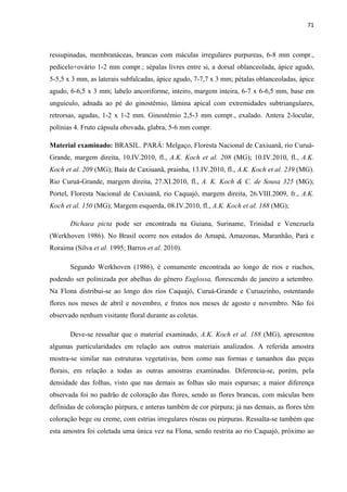 71 
 
ressupinadas, membranáceas, brancas com máculas irregulares purpureas, 6-8 mm compr.,
pedicelo+ovário 1-2 mm compr.; sépalas livres entre si, a dorsal oblanceolada, ápice agudo,
5-5,5 x 3 mm, as laterais subfalcadas, ápice agudo, 7-7,7 x 3 mm; pétalas oblanceoladas, ápice
agudo, 6-6,5 x 3 mm; labelo ancoriforme, inteiro, margem inteira, 6-7 x 6-6,5 mm, base em
unguículo, adnada ao pé do ginostêmio, lâmina apical com extremidades subtriangulares,
retrorsas, agudas, 1-2 x 1-2 mm. Ginostêmio 2,5-3 mm compr., exalado. Antera 2-locular,
polínias 4. Fruto cápsula obovada, glabra, 5-6 mm compr.
Material examinado: BRASIL. PARÁ: Melgaço, Floresta Nacional de Caxiuanã, rio Curuá-
Grande, margem direita, 10.IV.2010, fl., A.K. Koch et al. 208 (MG); 10.IV.2010, fl., A.K.
Koch et al. 209 (MG); Baía de Caxiuanã, prainha, 13.IV.2010, fl., A.K. Koch et al. 239 (MG).
Rio Curuá-Grande, margem direita, 27.XI.2010, fl., A. K. Koch & C. de Sousa 325 (MG);
Portel, Floresta Nacional de Caxiuanã, rio Caquajó, margem direita, 26.VIII.2009, fr., A.K.
Koch et al. 150 (MG); Margem esquerda, 08.IV.2010, fl., A.K. Koch et al. 188 (MG);
Dichaea picta pode ser encontrada na Guiana, Suriname, Trinidad e Venezuela
(Werkhoven 1986). No Brasil ocorre nos estados do Amapá, Amazonas, Maranhão, Pará e
Roraima (Silva et al. 1995; Barros et al. 2010).
Segundo Werkhoven (1986), é comumente encontrada ao longo de rios e riachos,
podendo ser polinizada por abelhas do gênero Euglossa, florescendo de janeiro a setembro.
Na Flona distribui-se ao longo dos rios Caquajó, Curuá-Grande e Curuazinho, ostentando
flores nos meses de abril e novembro, e frutos nos meses de agosto e novembro. Não foi
observado nenhum visitante floral durante as coletas.
Deve-se ressaltar que o material examinado, A.K. Koch et al. 188 (MG), apresentou
algumas particularidades em relação aos outros materiais analizados. A referida amostra
mostra-se similar nas estruturas vegetativas, bem como nas formas e tamanhos das peças
florais, em relação a todas as outras amostras examinadas. Diferencia-se, porém, pela
densidade das folhas, visto que nas demais as folhas são mais esparsas; a maior diferença
observada foi no padrão de coloração das flores, sendo as flores brancas, com máculas bem
definidas de coloração púrpura, e anteras também de cor púrpura; já nas demais, as flores têm
coloração bege ou creme, com estrias irregulares róseas ou púrpuras. Ressalta-se também que
esta amostra foi coletada uma única vez na Flona, sendo restrita ao rio Caquajó, próximo ao
 