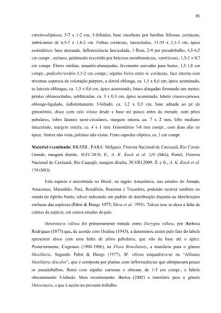 81 
 
estreito-elípticos, 5-7 x 1-2 cm, 1-foliados, base encoberta por bainhas foliosas, coriáceas,
imbricantes de 6,5-7 x 1,8-2 cm. Folhas coriáceas, lanceoladas, 33-55 x 2,3-3 cm, ápice
assimétrico, base atenuada. Inflorescência fasciculada, 1-flora, 2-4 por pseudobulbo, 4,5-6,5
cm compr., axilares, pedúnculo revestido por brácteas membranáceas, ventricosas, 1,5-2 x 0,7
cm compr. Flores médias, amarelo-alaranjadas, levemente curvadas para baixo, 1,5-1,8 cm
compr., pedicelo+ovário 1,5-2 cm compr.; sépalas livres entre si, coriáceas, face interna com
tricomas esparsos de coloração púrpura, a dorsal oblonga, ca. 1,5 x 0,6 cm, ápice acuminado,
as laterais oblongas, ca. 1,5 x 0,6 cm, ápice acuminado, bases alargadas formando um mento;
pétalas oblanceoladas, subfalcadas, ca. 3 x 0,3 cm, ápice acuminado; labelo crasso-carnoso,
oblongo-ligulado, indistintamente 3-lobado, ca. 1,2 x 0,5 cm, base adnada ao pé do
ginostêmio, disco com calo viloso desde a base até pouco antes da metade, com pêlos
pabulares, lobos laterais semi-circulares, margem inteira, ca. 7 x 2 mm, lobo mediano
lanceolado, margem inteira, ca. 4 x 1 mm. Ginostêmio 7-8 mm compr., com duas alas no
ápice. Antera não vista, polínias não vistas. Fruto capsular elíptico, ca. 3 cm compr.
Material examinado: BRASIL. PARÁ: Melgaço, Floresta Nacional de Caxiuanã, Rio Curuá-
Grande, margem direita, 10.IV.2010, fl., A. K. Koch et al. 210 (MG); Portel, Floresta
Nacional de Caxiuanã, Rio Caquajó, margem direita, 30.VIII.2009, fl. e fr., A. K. Koch et al.
156 (MG).
Esta espécie é encontrada no Brasil, na região Amazônica, nos estados do Amapá,
Amazonas, Maranhão, Pará, Rondônia, Roraima e Tocantins, podendo ocorrer também no
estado do Epírito Santo, talvez indicando um padrão de distribuição disjunta ou idenficações
errôneas das espécies (Pabst & Dungs 1977; Silva et al. 1995). Talvez isso se deva à falta de
coletas da espécie, em outros estados do país.
Heterotaxis villosa foi primeiramente tratada como Dicrypta villosa, por Barbosa
Rodrigues (1877) que, de acordo com Hoehne (1943), a denominou assim pelo fato do labelo
apresentar disco com uma linha de pêlos pabulares, que vão da base até o ápice.
Posteriormente, Cogniaux (1904-1906), na Flora Brasiliensis, a transferiu para o gênero
Maxillaria. Segundo Pabst & Dungs (1977), M. villosa enquadrava-se na “Alliance
Maxillaria discolor”, que é composta por plantas com inflorescências que ultrapassam pouco
os pseudobulbos, flores com sépalas carnosas e obtusas, de 1-3 cm compr., e labelo
obscuramente 3-lobado. Mais recentemente, Barros (2002) a transferiu para o gênero
Heterotaxis, o que é aceito no presente trabalho.
 