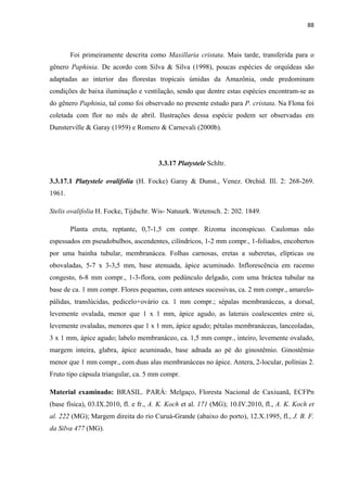 88 
 
Foi primeiramente descrita como Maxillaria cristata. Mais tarde, transferida para o
gênero Paphinia. De acordo com Silva & Silva (1998), poucas espécies de orquídeas são
adaptadas ao interior das florestas tropicais úmidas da Amazônia, onde predominam
condições de baixa iluminação e ventilação, sendo que dentre estas espécies encontram-se as
do gênero Paphinia, tal como foi observado no presente estudo para P. cristata. Na Flona foi
coletada com flor no mês de abril. Ilustrações dessa espécie podem ser observadas em
Dunsterville & Garay (1959) e Romero & Carnevali (2000b).
3.3.17 Platystele Schltr.
3.3.17.1 Platystele ovalifolia (H. Focke) Garay & Dunst., Venez. Orchid. Ill. 2: 268-269.
1961.
Stelis ovalifolia H. Focke, Tijdschr. Wis- Natuurk. Wetensch. 2: 202. 1849.
Planta ereta, reptante, 0,7-1,5 cm compr. Rizoma inconspícuo. Caulomas não
espessados em pseudobulbos, ascendentes, cilíndricos, 1-2 mm compr., 1-foliados, encobertos
por uma bainha tubular, membranácea. Folhas carnosas, eretas a suberetas, elípticas ou
obovaladas, 5-7 x 3-3,5 mm, base atenuada, ápice acuminado. Inflorescência em racemo
congesto, 6-8 mm compr., 1-3-flora, com pedúnculo delgado, com uma bráctea tubular na
base de ca. 1 mm compr. Flores pequenas, com anteses sucessivas, ca. 2 mm compr., amarelo-
pálidas, translúcidas, pedicelo+ovário ca. 1 mm compr.; sépalas membranáceas, a dorsal,
levemente ovalada, menor que 1 x 1 mm, ápice agudo, as laterais coalescentes entre si,
levemente ovaladas, menores que 1 x 1 mm, ápice agudo; pétalas membranáceas, lanceoladas,
3 x 1 mm, ápice agudo; labelo membranáceo, ca. 1,5 mm compr., inteiro, levemente ovalado,
margem inteira, glabra, ápice acuminado, base adnada ao pé do ginostêmio. Ginostêmio
menor que 1 mm compr., com duas alas membranáceas no ápice. Antera, 2-locular, polínias 2.
Fruto tipo cápsula triangular, ca. 5 mm compr.
Material examinado: BRASIL. PARÁ: Melgaço, Floresta Nacional de Caxiuanã, ECFPn
(base física), 03.IX.2010, fl. e fr., A. K. Koch et al. 171 (MG); 10.IV.2010, fl., A. K. Koch et
al. 222 (MG); Margem direita do rio Curuá-Grande (abaixo do porto), 12.X.1995, fl., J. B. F.
da Silva 477 (MG).
 