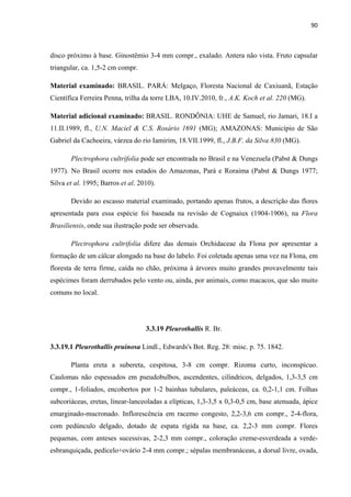 90 
 
disco próximo à base. Ginostêmio 3-4 mm compr., exalado. Antera não vista. Fruto capsular
triangular, ca. 1,5-2 cm compr.
Material examinado: BRASIL. PARÁ: Melgaço, Floresta Nacional de Caxiuanã, Estação
Científica Ferreira Penna, trilha da torre LBA, 10.IV.2010, fr., A.K. Koch et al. 220 (MG).
Material adicional examinado: BRASIL. RONDÔNIA: UHE de Samuel, rio Jamari, 18.I a
11.II.1989, fl., U.N. Maciel & C.S. Rosário 1691 (MG); AMAZONAS: Município de São
Gabriel da Cachoeira, várzea do rio Iamirim, 18.VII.1999, fl., J.B.F. da Silva 830 (MG).
Plectrophora cultrifolia pode ser encontrada no Brasil e na Venezuela (Pabst & Dungs
1977). No Brasil ocorre nos estados do Amazonas, Pará e Roraima (Pabst & Dungs 1977;
Silva et al. 1995; Barros et al. 2010).
Devido ao escasso material examinado, portando apenas frutos, a descrição das flores
apresentada para essa espécie foi baseada na revisão de Cognaiux (1904-1906), na Flora
Brasiliensis, onde sua ilustração pode ser observada.
Plectrophora cultrifolia difere das demais Orchidaceae da Flona por apresentar a
formação de um cálcar alongado na base do labelo. Foi coletada apenas uma vez na Flona, em
floresta de terra firme, caída no chão, próxima à árvores muito grandes provavelmente tais
espécimes foram derrubados pelo vento ou, ainda, por animais, como macacos, que são muito
comuns no local.
3.3.19 Pleurothallis R. Br.
3.3.19.1 Pleurothallis pruinosa Lindl., Edwards's Bot. Reg. 28: misc. p. 75. 1842.
Planta ereta a subereta, cespitosa, 3-8 cm compr. Rizoma curto, inconspícuo.
Caulomas não espessados em pseudobulbos, ascendentes, cilíndricos, delgados, 1,3-3,5 cm
compr., 1-foliados, encobertos por 1-2 bainhas tubulares, paleáceas, ca. 0,2-1,1 cm. Folhas
subcoriáceas, eretas, linear-lanceoladas a elípticas, 1,3-3,5 x 0,3-0,5 cm, base atenuada, ápice
emarginado-mucronado. Inflorescência em racemo congesto, 2,2-3,6 cm compr., 2-4-flora,
com pedúnculo delgado, dotado de espata rígida na base, ca. 2,2-3 mm compr. Flores
pequenas, com anteses sucessivas, 2-2,3 mm compr., coloração creme-esverdeada a verde-
esbranquiçada, pedicelo+ovário 2-4 mm compr.; sépalas membranáceas, a dorsal livre, ovada,
 