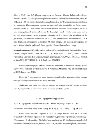 93 
 
0,8-1 x 0,3-0,5 cm, 2-3-foliados, encobertos por bainhas foliosas. Folhas subcoriáceas,
lineares, 0,8-14 x 0,3 cm, ápice emarginado-assimétrico. Inflorescência em racemo, ereta, 8-
43-flora, 2-12,5 cm compr., terminal, pedúnculo revestido por brácteas escariosas, tubulosas,
3-5 mm compr. Flores pequenas, carnosas, creme-esverdeadas, translúcidas, ca. 2 mm compr.,
pedicelo+ovário ca. 1 mm compr.; sépalas livres entre si, côncavas, a dorsal elíptica, ca. 2 x 1
mm, ápice agudo, as laterais ovaladas, ca. 2 x 2 mm, ápice agudo; pétalas lanceoladas, ca. 2 x
0,5 cm, ápice cuneado; labelo arqueado, 3-lobado, ca. 2 x 2 mm, base adnada ao pé do
ginostêmio, lobos laterais subfalcados, ca. 5 x 3 mm, lobo mediano arredondado, ca, 5 x 4
mm, disco com calo papiloso. Ginostêmio 0,5-1 mm compr., com duas alas inconspícuas no
ápice. Antera 2-locular, polínias 2. Fruto capsular, oblanceolado, 4-7 mm compr.
Material examinado: BRASIL. PARÁ: Melgaço, Floresta Nacional de Caxiuanã, Rio Curuá-
Grande, margem direita, 10.IV.2010, fr., A. K. Koch et al. 212 (MG); Portel, Floresta
Nacional de Caxiuanã, Rio Caquajó, margem esquerda, 23.VIII.2009, fl. e fr., A. K. Koch et
al. 146 (MG); 30.VIII.2009, fl., A. K. Koch et al. 159 (MG).
Polystachya stenophylla pode ser encontrada no Brasil e na Venezuela (Dunsterville &
Garay 1976). No Brasil, ocorre nos estados de Amazonas, Maranhão, Pará e Roraima (Silva et
al. 1995; Barros et al. 2010).
Difere de P. concreta pelo menor tamanho, pseudobulbos reduzidos, folhas lineares
com ápice emarginado-assimétrico e labelo 3-lobado.
Na Flona é rara; tendo sido coletada somente nas margens dos rios Caquajó e Curuá-
Grande, encontrando-se com flores e frutos nos meses de abril e agosto.
3.3.21 Scaphyglottis Poepp. & Endl.
3.3.21.1 Scaphyglottis boliviensis (Rolfe) B.R. Adams, Phytologia, 64(4): 257. 1988.
Hexadesmia boliviensis Rolfe, Mem. Torrey Bot. Club, 6(1): 122. 1896. Fig. 21 A-E
Planta ereta a subereta, cespitosa, 17,5-36 cm compr. Rizoma curto, ca. 1 cm entre
pseudobulbos. Caulomas espassados em pseudobulbos, prolíferos, superpostos, fusiformes, 2-
9,5 cm compr., 0,5-1 cm diâm., 2-foliados, base encoberta por 4-5 bainhas amplexicaules, 2-5
cm compr. Folhas subcoriáceas, lineares, 5-22,5 x,0,4-0,5 cm, ápice emarginado, assimétrico.
 