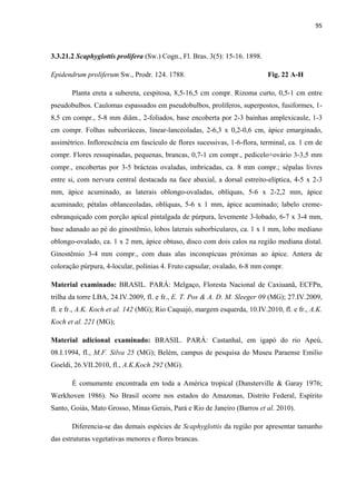 95 
 
3.3.21.2 Scaphyglottis prolifera (Sw.) Cogn., Fl. Bras. 3(5): 15-16. 1898.
Epidendrum proliferum Sw., Prodr. 124. 1788. Fig. 22 A-H
Planta ereta a subereta, cespitosa, 8,5-16,5 cm compr. Rizoma curto, 0,5-1 cm entre
pseudobulbos. Caulomas espassados em pseudobulbos, prolíferos, superpostos, fusiformes, 1-
8,5 cm compr., 5-8 mm diâm., 2-foliados, base encoberta por 2-3 bainhas amplexicaule, 1-3
cm compr. Folhas subcoriáceas, linear-lanceoladas, 2-6,3 x 0,2-0,6 cm, ápice emarginado,
assimétrico. Inflorescência em fascículo de flores sucessivas, 1-6-flora, terminal, ca. 1 cm de
compr. Flores ressupinadas, pequenas, brancas, 0,7-1 cm compr., pedicelo+ovário 3-3,5 mm
compr., encobertas por 3-5 brácteas ovaladas, imbricadas, ca. 8 mm compr.; sépalas livres
entre si, com nervura central destacada na face abaxial, a dorsal estreito-elíptica, 4-5 x 2-3
mm, ápice acuminado, as laterais oblongo-ovaladas, oblíquas, 5-6 x 2-2,2 mm, ápice
acuminado; pétalas oblanceoladas, oblíquas, 5-6 x 1 mm, ápice acuminado; labelo creme-
esbranquiçado com porção apical pintalgada de púrpura, levemente 3-lobado, 6-7 x 3-4 mm,
base adanado ao pé do ginostêmio, lobos laterais suborbiculares, ca. 1 x 1 mm, lobo mediano
oblongo-ovalado, ca. 1 x 2 mm, ápice obtuso, disco com dois calos na região mediana distal.
Ginostêmio 3-4 mm compr., com duas alas inconspícuas próximas ao ápice. Antera de
coloração púrpura, 4-locular, polínias 4. Fruto capsular, ovalado, 6-8 mm compr.
Material examinado: BRASIL. PARÁ: Melgaço, Floresta Nacional de Caxiuanã, ECFPn,
trilha da torre LBA, 24.IV.2009, fl. e fr., E. T. Pos & A. D. M. Sleeger 09 (MG); 27.IV.2009,
fl. e fr., A.K. Koch et al. 142 (MG); Rio Caquajó, margem esquerda, 10.IV.2010, fl. e fr., A.K.
Koch et al. 221 (MG);
Material adicional examinado: BRASIL. PARÁ: Castanhal, em igapó do rio Apeú,
08.I.1994, fl., M.F. Silva 25 (MG); Belém, campus de pesquisa do Museu Paraense Emilio
Goeldi, 26.VII.2010, fl., A.K.Koch 292 (MG).
É comumente encontrada em toda a América tropical (Dunsterville & Garay 1976;
Werkhoven 1986). No Brasil ocorre nos estados do Amazonas, Distrito Federal, Espírito
Santo, Goiás, Mato Grosso, Minas Gerais, Pará e Rio de Janeiro (Barros et al. 2010).
Diferencia-se das demais espécies de Scaphyglottis da região por apresentar tamanho
das estruturas vegetativas menores e flores brancas.
 
