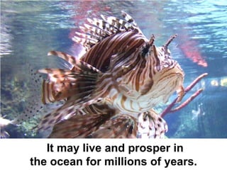 It may live and prosper in
the ocean for millions of years.
 