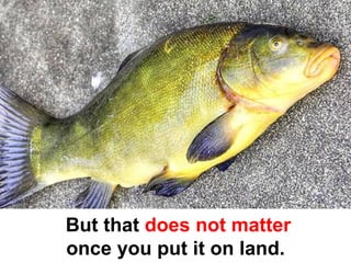 But that does not matter
once you put it on land.
 