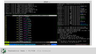 Texteditor Demo - VI/VIM (Tim Gremalm)

 