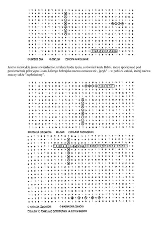 Jest to niezwykle jasne stwierdzenie, iż klucz kodu życia, a również kodu Biblii, może spoczywać pod
powierzchnią półwyspu Lisan, którego hebrajska nazwa oznacza też , język" – w pobliżu zatoki, której nazwa
znaczy także "zapłodniony".
 