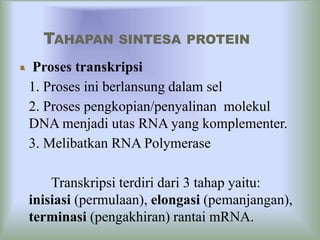 Kode genetik dan sintesis protein