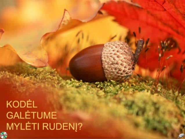 Kodel galetume myleti rudeni