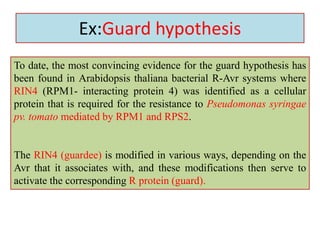 Ex:Guard hypothesis
To date, the most convincing evidence for the guard hypothesis has
been found in Arabidopsis thaliana bacterial R-Avr systems where
RIN4 (RPM1- interacting protein 4) was identified as a cellular
protein that is required for the resistance to Pseudomonas syringae
pv. tomato mediated by RPM1 and RPS2.
The RIN4 (guardee) is modified in various ways, depending on the
Avr that it associates with, and these modifications then serve to
activate the corresponding R protein (guard).
 